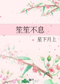笙笙不息